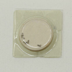 Date Dial Disc for AS 2066 and AS 2064, Part 2557 – Movement Screw