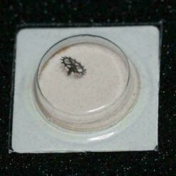 GLASHÜTTE piezas de repuesto GUB 09-20, GUB 08-20, GUB 38-30, GUB 63 PART 705 721 – imagen 4