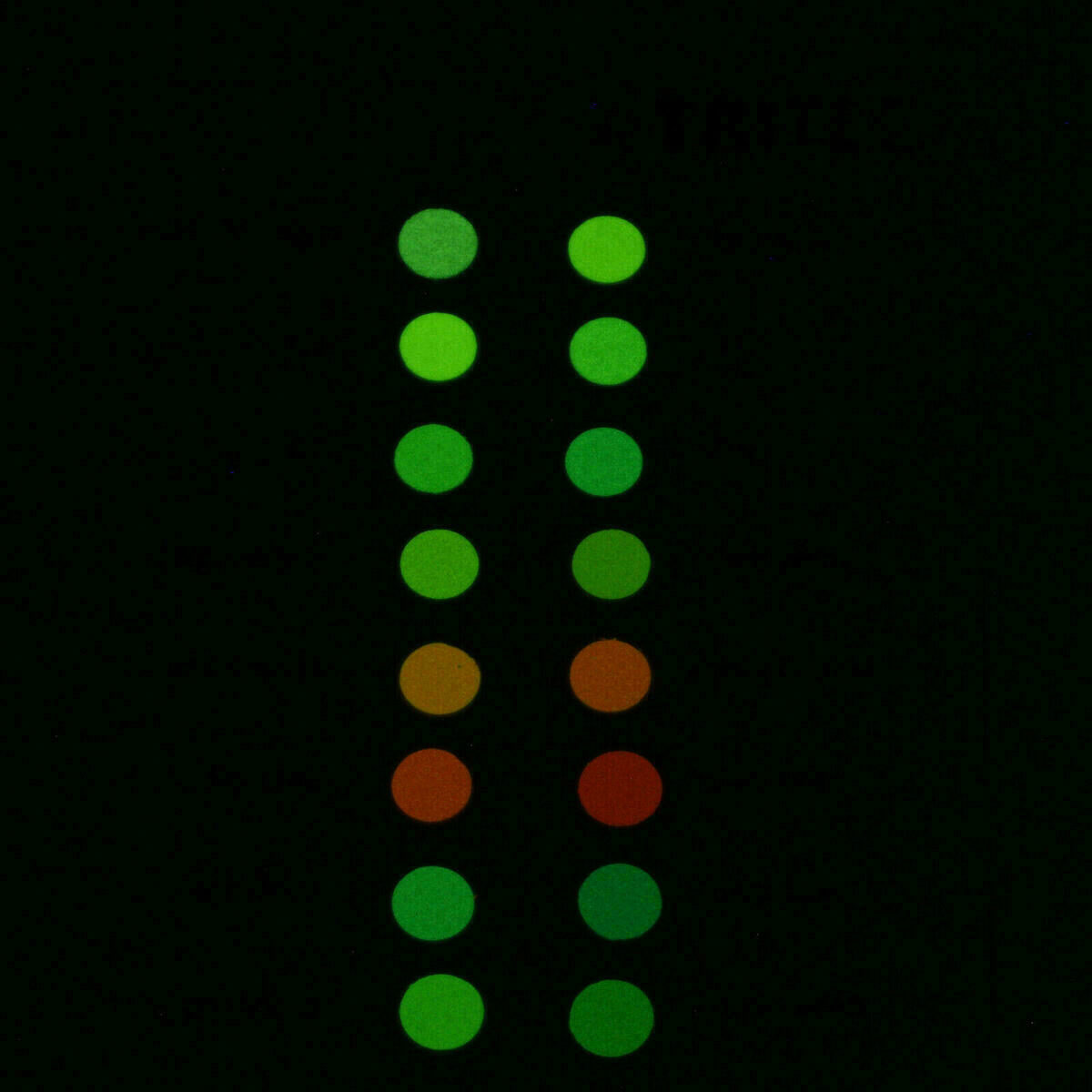 Kit de pigments luminescents suisses + vernis + diluant – C1, C3, C5, C7, C9 – Watch Grade – image 8
