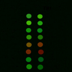Luminous Pigment for Watch Hands – Swiss Watch Lume, Luminova – image 7
