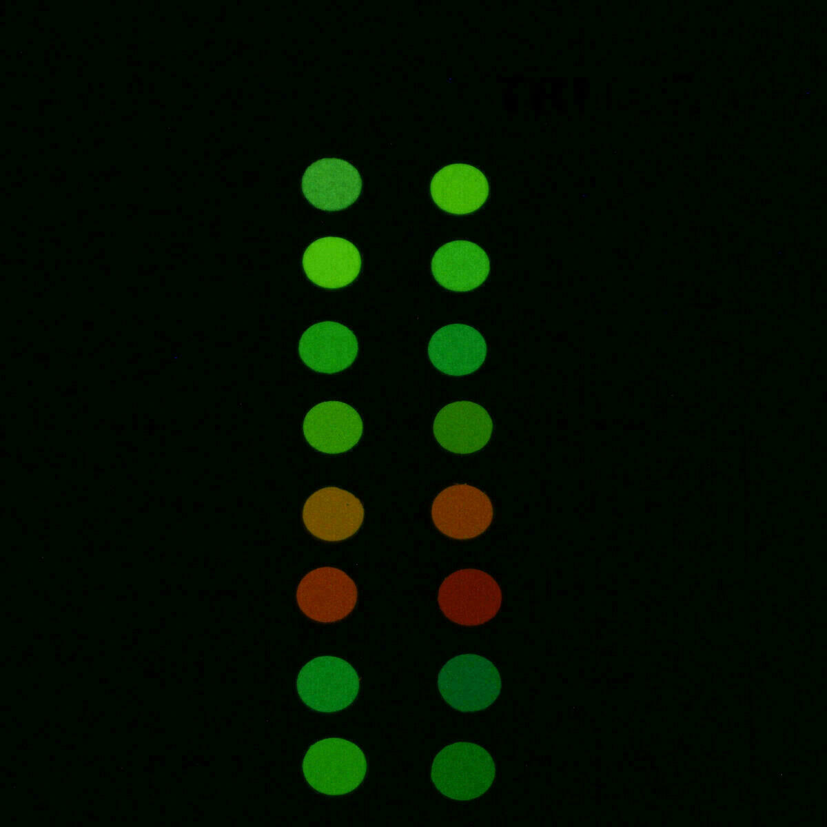 Luminous Pigment for Watch Hands – Swiss Watch Lume, Luminova – image 7