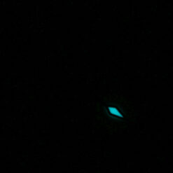 Sekundenzeiger / second hand ETA 2824-2 BGW9 SuperLuminova Ø 0,25 ROT 14mm – Bild 5