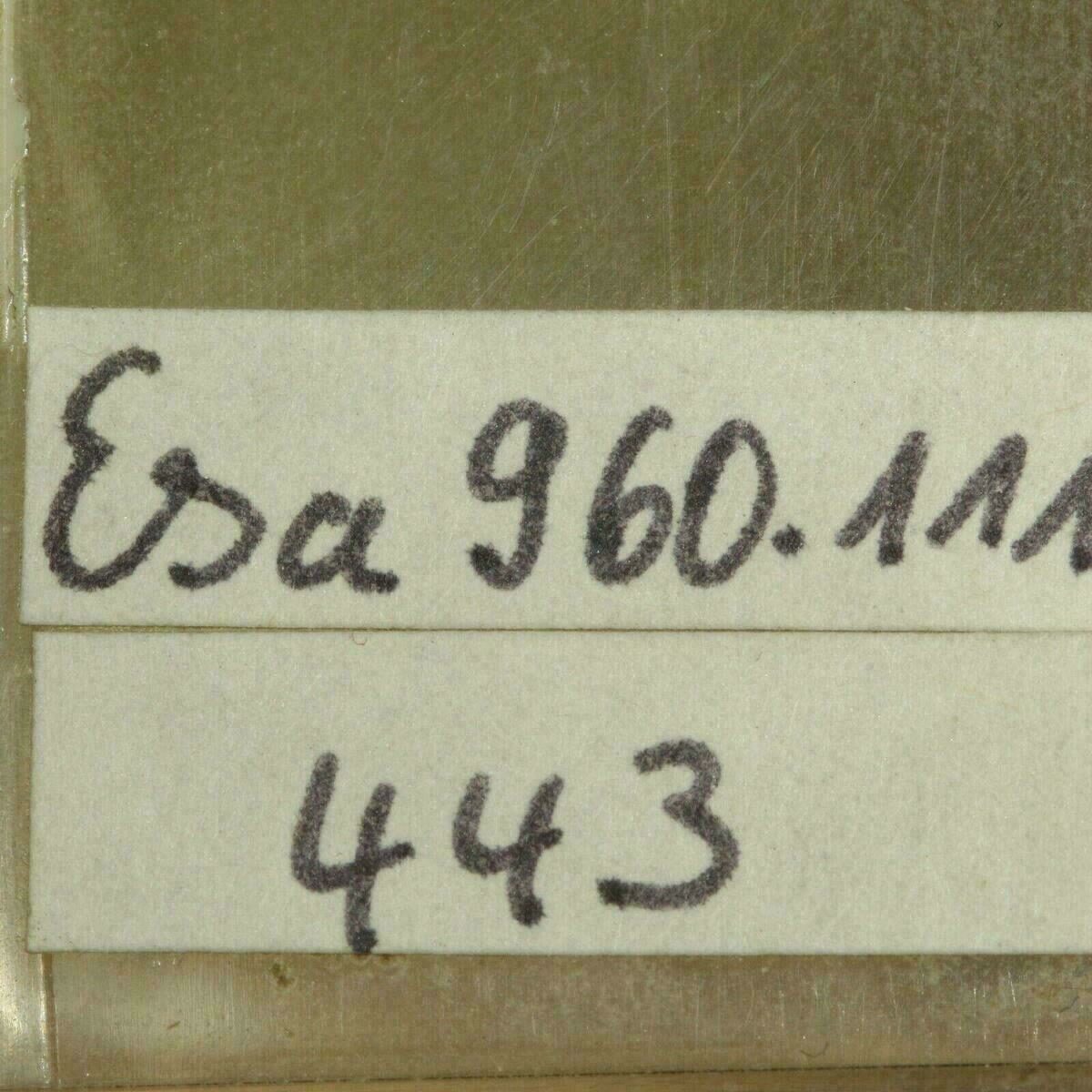 Setting Lever, mounted, for ESA / ETA 960.111 – Part 443 – NOS – image 2