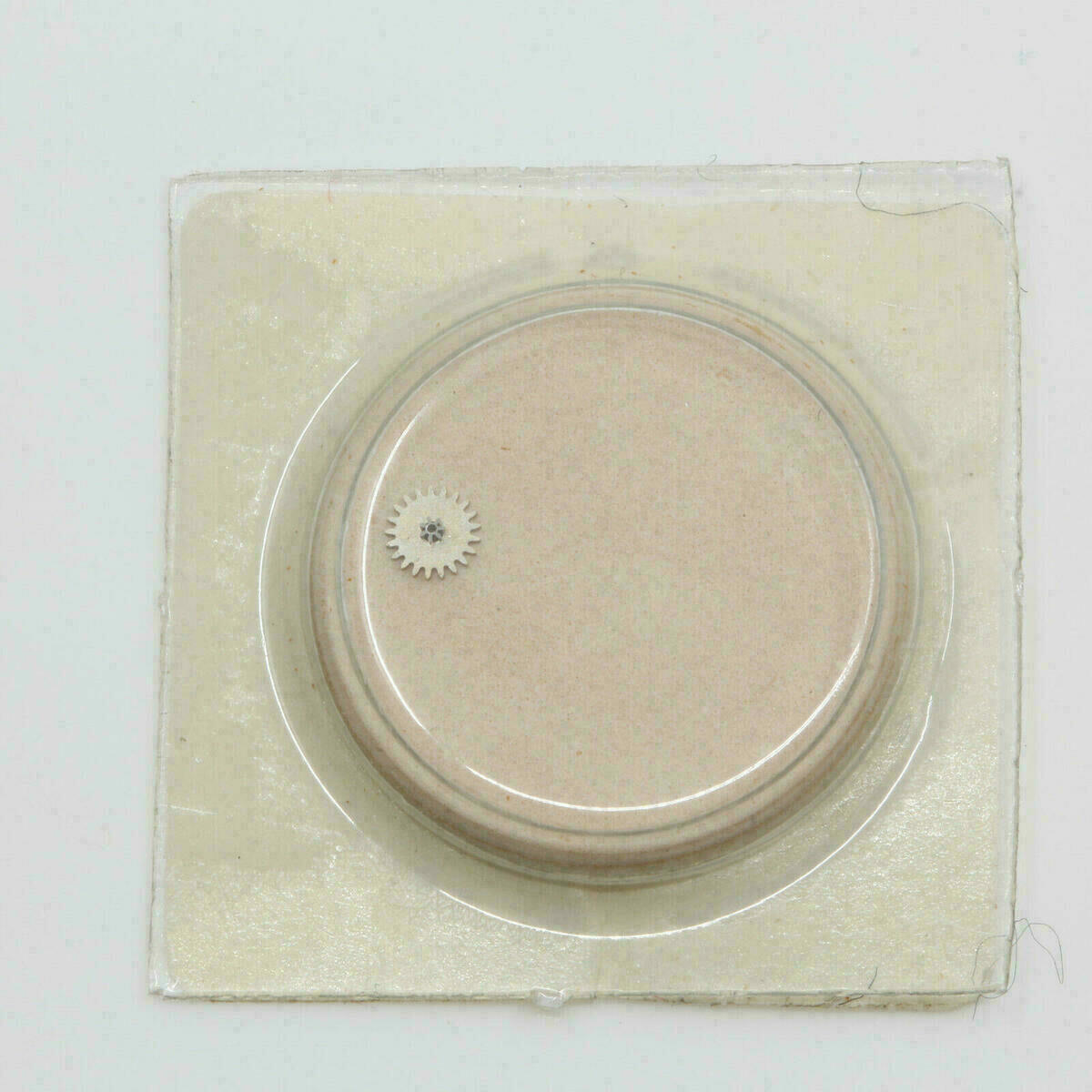 Roue de minuterie AS 976 – Part 260 – pour AS 1677, 1977, 1977-2, 1977-5, 1978, 1978-2 – image 2