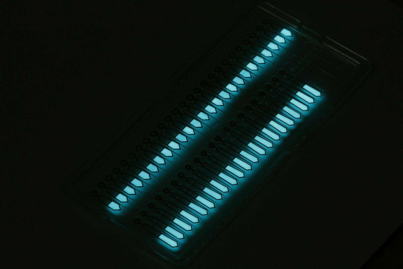 Swiss SuperLuminova BGW9 GrA+ vernice trasparente + diluente, pigmento luminescente – immagine 8