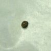 ETA 956.101 PART 4211 rotor Ref. 20.580, recambio