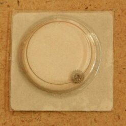 ETA 1201 Part 410, KUPPLUNGSRAD, winding pinion NOS – Bild 2